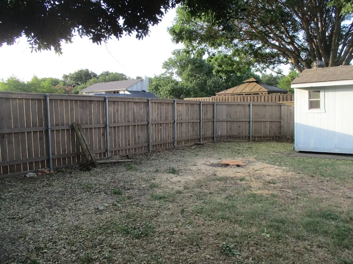 Cleared yard after professional tree removal in Mowrystown
